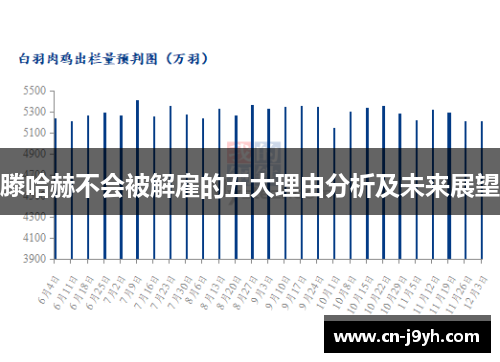 滕哈赫不会被解雇的五大理由分析及未来展望