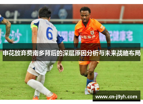 申花放弃费南多背后的深层原因分析与未来战略布局