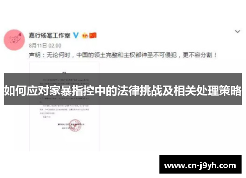 如何应对家暴指控中的法律挑战及相关处理策略