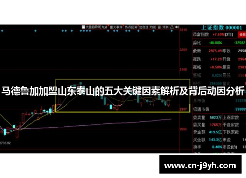 马德鲁加加盟山东泰山的五大关键因素解析及背后动因分析